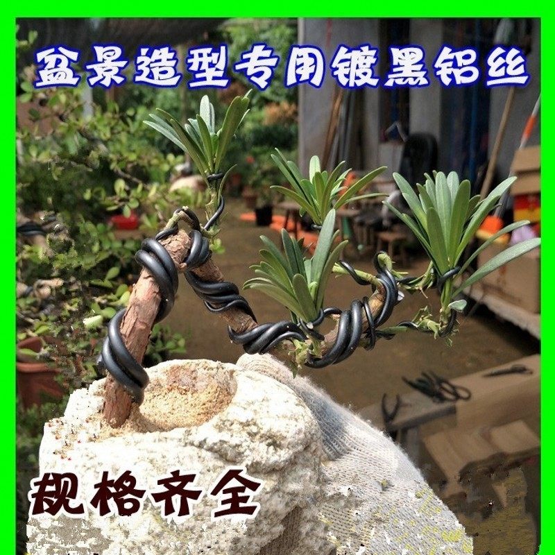 折弯成形园艺专用铝丝树造型黑色定型盆栽捆扎铝线纯熟铁丝软铝线|ruв категории доставка цветов/цветок моделирования/растения садоводства, садовых принадлежностей, других садовых принадлежностей - от Buy2taobao.com для оказания профессиональной услуги покупки агента Taobao
