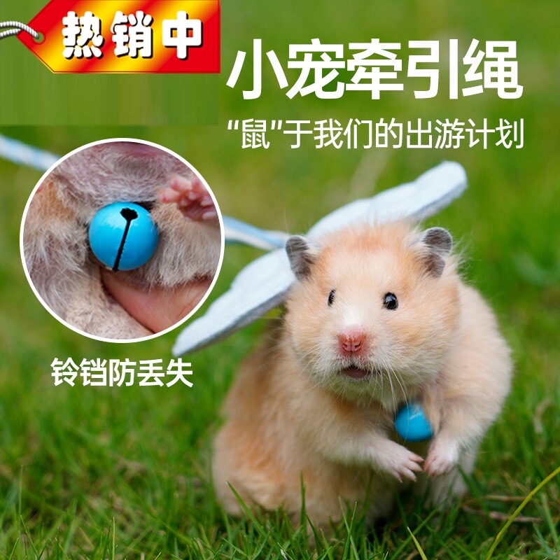 仓鼠牵引绳溜鼠绳金丝熊豚鼠兔子绳荷兰猪宠物外出绳子用品带铃铛