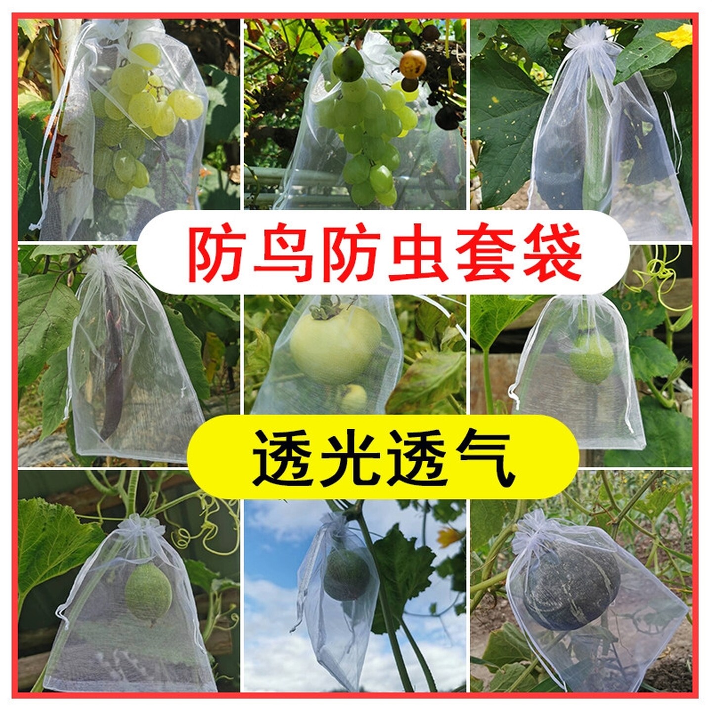水果防果蝇套袋防鸟防虫纱网袋葡萄无花果瓜果枇杷石榴保护大袋子