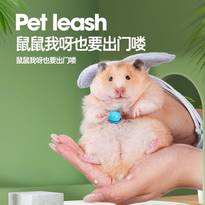 仓鼠花枝鼠蜜袋鼯牵引绳溜鼠绳金丝熊绳锻炼宠物刺猬绳子用品出行