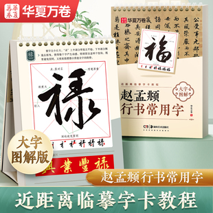 包邮初学书法毛笔字赵孟頫行书常用字近距离临摹字卡教程大字图解行书入门毛笔字帖
