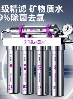 斑马鱼不锈钢净水器家用商用厨房净水机可直饮五级超滤净水器