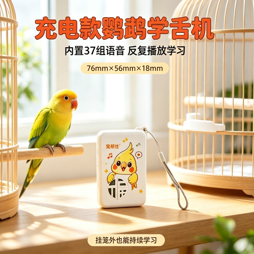 宠帮仕鸟用学语复读机