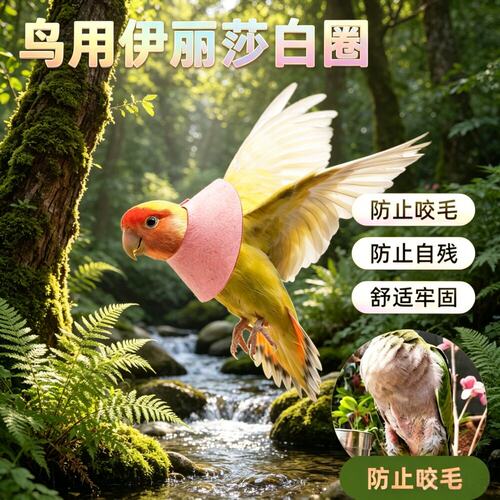 鹦鹉通用防啄防啃伊丽莎白圈