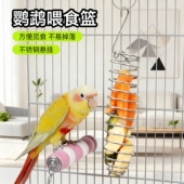 鹦鹉喂食器不锈钢爆炸钩弹簧食物水果篮蔬菜喂食器小鸟用品神器