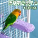 鸟类稳固站百搭专用磨牙棒站立鹦鹉玩具杆训练加厚美观磨爪多功能
