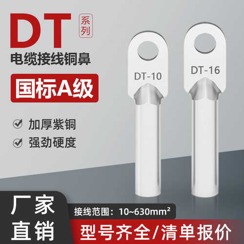 国标DT铜鼻子A级紫铜镀锡接线端