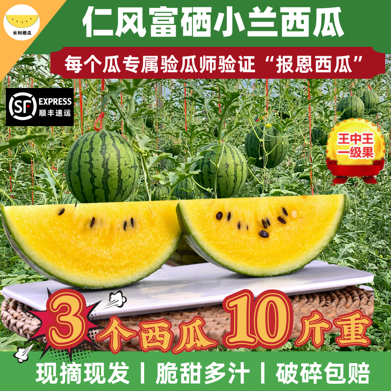 西瓜水果头茬仁风富硒新鲜黄瓤心脆甜冰淇淋老人小孩孕妇非特小凤
