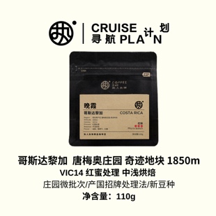 红标【晚霞】哥斯达黎加红蜜处理庄园级精品手冲咖啡豆黑咖啡110g