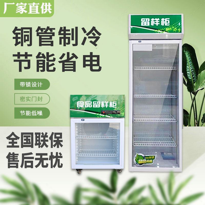 冷藏保鲜幼儿园食品留样柜带锁餐厅食堂家用小冰箱商用展示留样柜