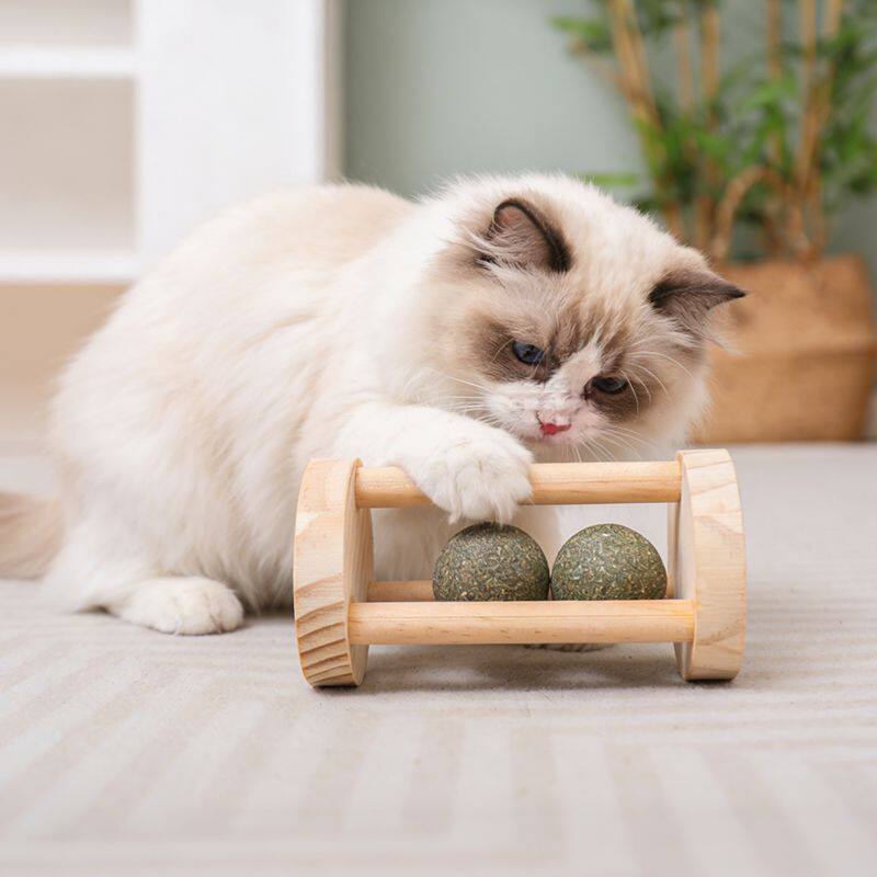 新型猫咪玩具滚筒磨牙洁齿虫瘿果猫咪悬挂逗猫棒自嗨磨牙棒
