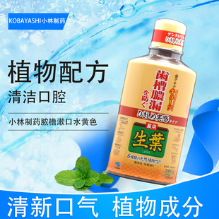 日本进口小林制药齿槽脓漏生叶漱口水清新口气植物配方护理牙龈