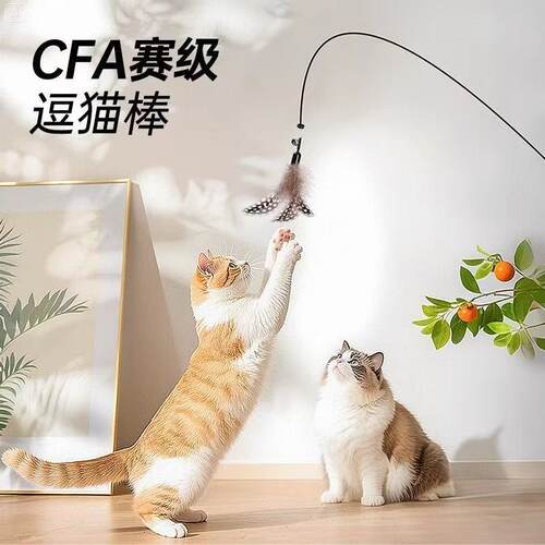 CFA赛级逗猫棒小猫斗猫棒小飞虫羽毛替换头耐咬幼猫用品猫咪玩具