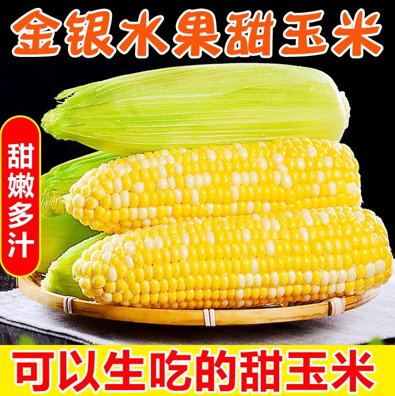 云南金银甜玉米新鲜现摘包邮粉糯