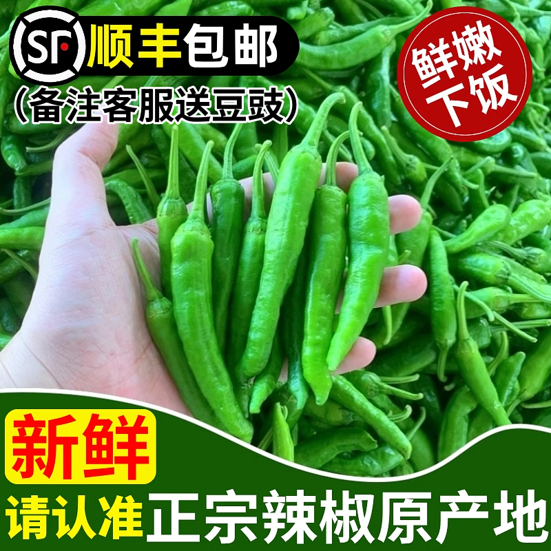 现货秒发！正宗下饭菜！新鲜