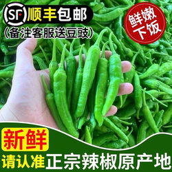 樟树港辣椒当季现摘新鲜湖南薄皮嫩青椒自种岳阳正宗蔬菜顺丰整箱
