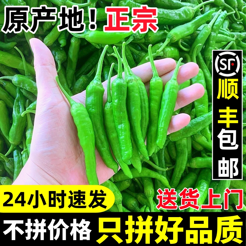 原产地顺丰发货！樟树原种青辣椒