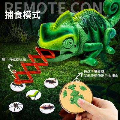 仿真蜥蜴遥控儿童生日礼物舌头动物捕食会玩具变色龙走电动男孩