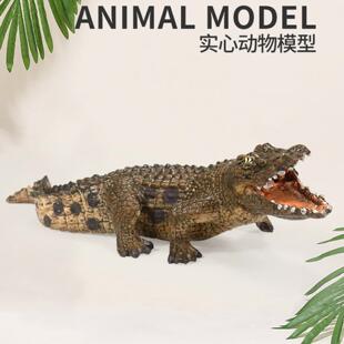 儿童仿真动物静态鳄鱼模型实心摆件套装圣诞节玩具偶发 动物实心