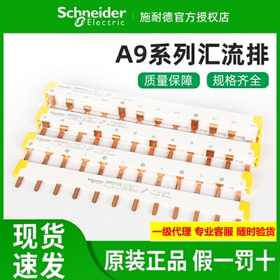 原装施耐德汇流排A9HLP112/212