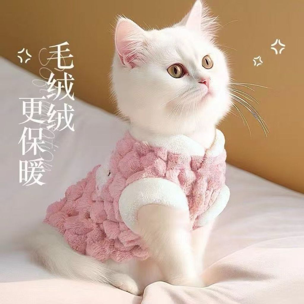 猫咪衣服冬装猫咪衣服秋冬季防掉毛布偶猫衣服宠物衣背心小猫的衣