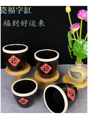 刺身摆盘装饰干冰小壶干冰盅福缸杯菜品冷菜海鲜姿造点缀拼盘摆件