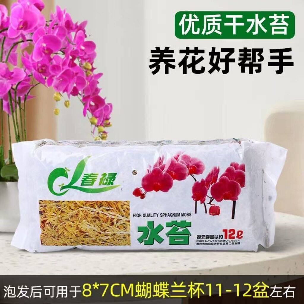 水苔蝴蝶兰专用毛毛虫水苔七星干苔藓兰花土植料乌龟冬眠垫材