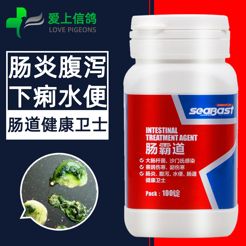 赛巴斯鸽用肠霸道赛信鸽沙门氏菌肠炎下痢水绿便副伤寒鸽药大全