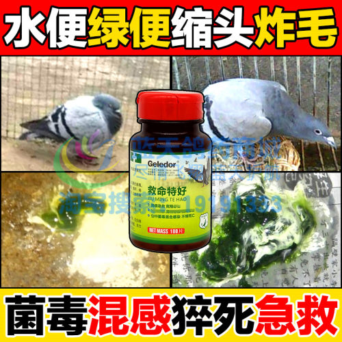 莱德鸽药救命特好病毒感染新城疫