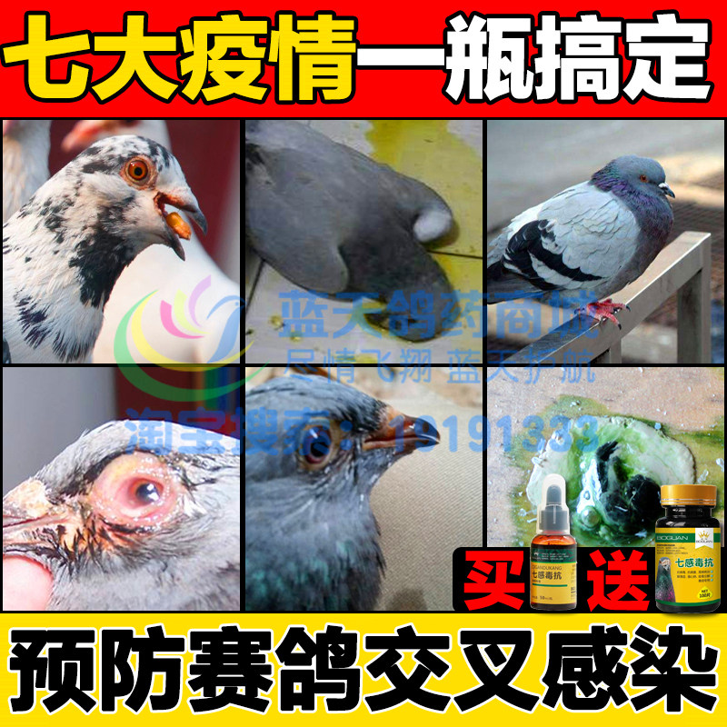 搏冠鸽用七感毒抗新城疫沙门氏菌腺病毒流感衣原体绿便赛信鸽药