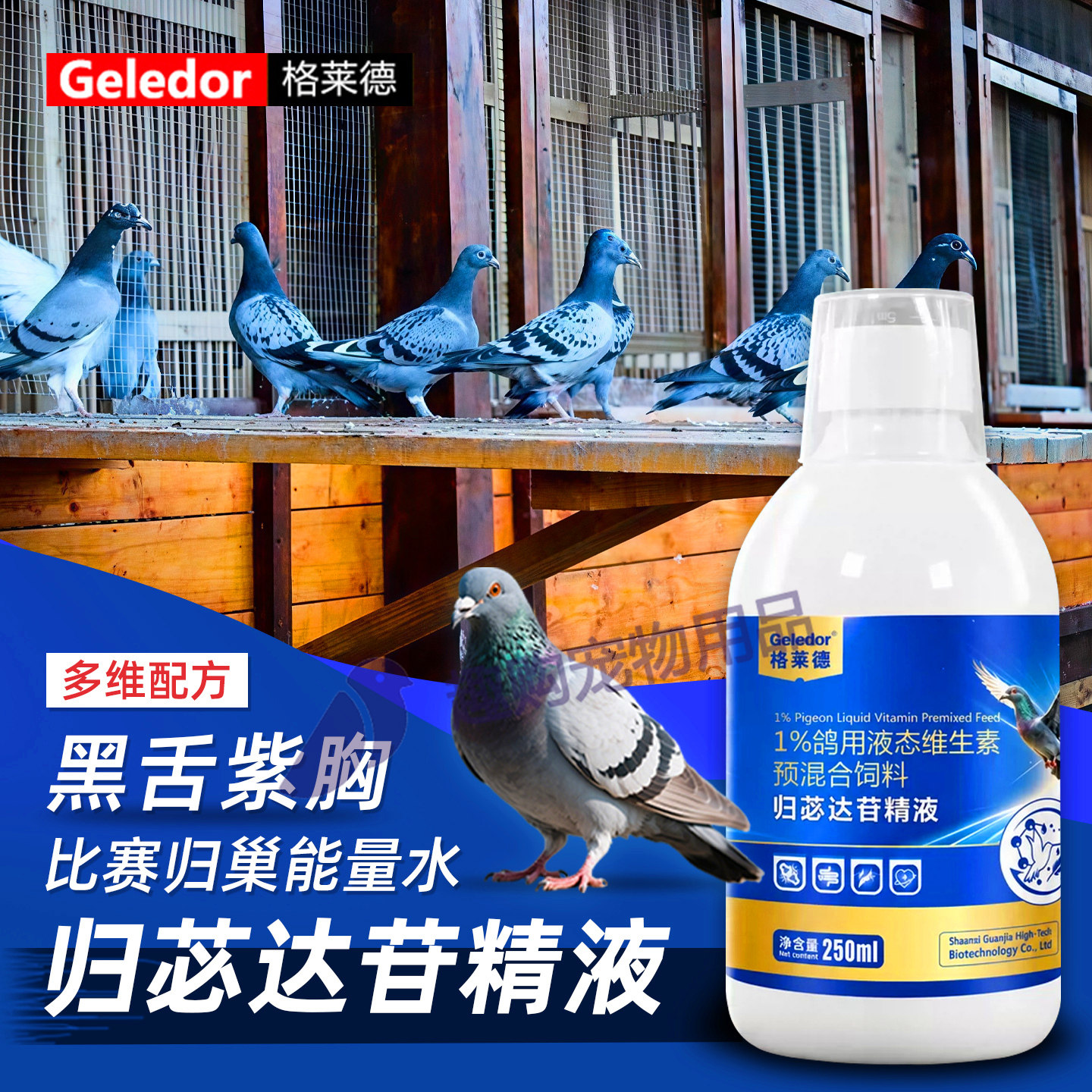 格莱德信鸽赛鸽归苾达苷精液