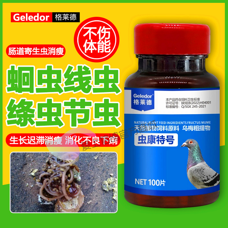 格莱德信鸽用虫康特号清理体内虫