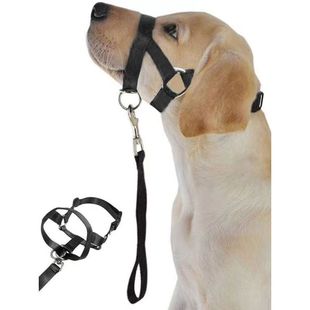 新款狗狗嘴套绳嘴套狗嘴鼻环训犬防爆冲拉狗牵引绳日常遛狗神器