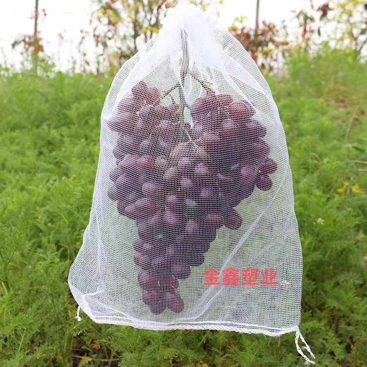 西瓜防虫袋套葡萄防鸟水