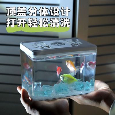 桌面迷你小鱼缸自循环鱼缸小型客厅生态造景过滤制氧一体机2025新