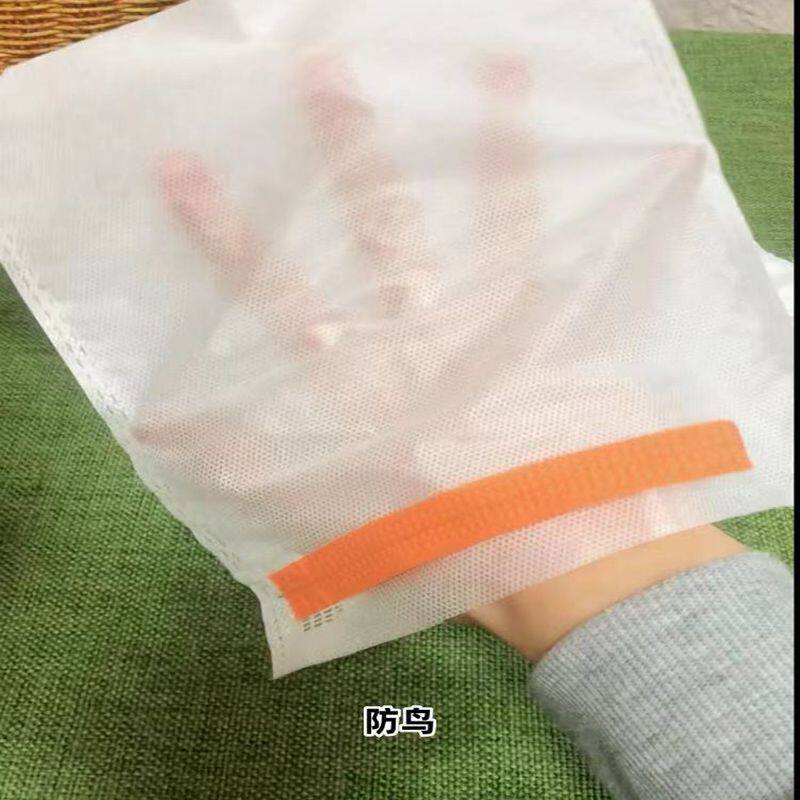 西瓜防虫袋无纺布水果套