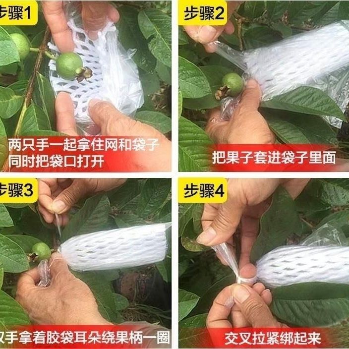 套果专用袋番石榴水果芭