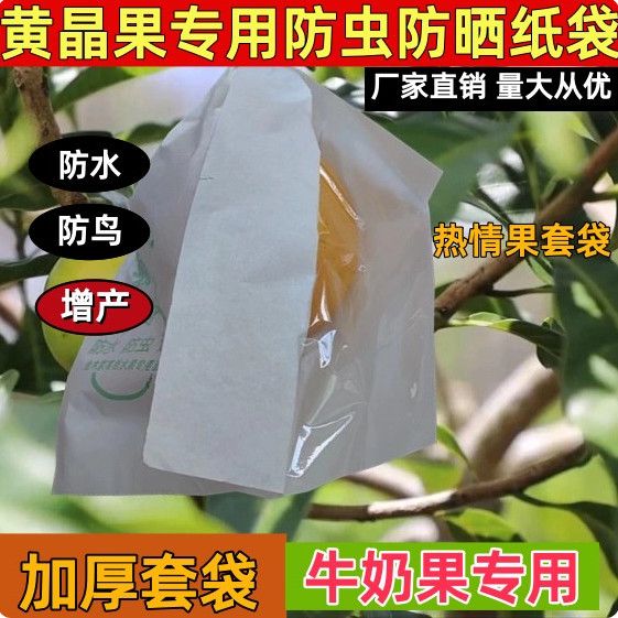 套果专用袋黄晶宝石防虫