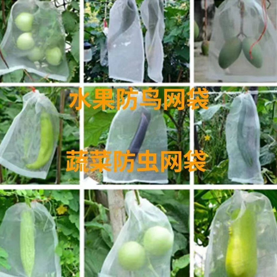 西瓜防虫袋尼龙蝇套袋葡