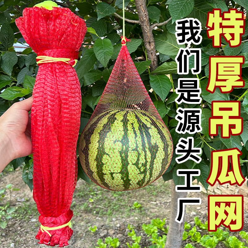 西瓜防虫袋大棚特厚吊网