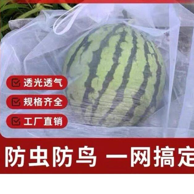 西瓜防虫袋鸟防果蝇专用