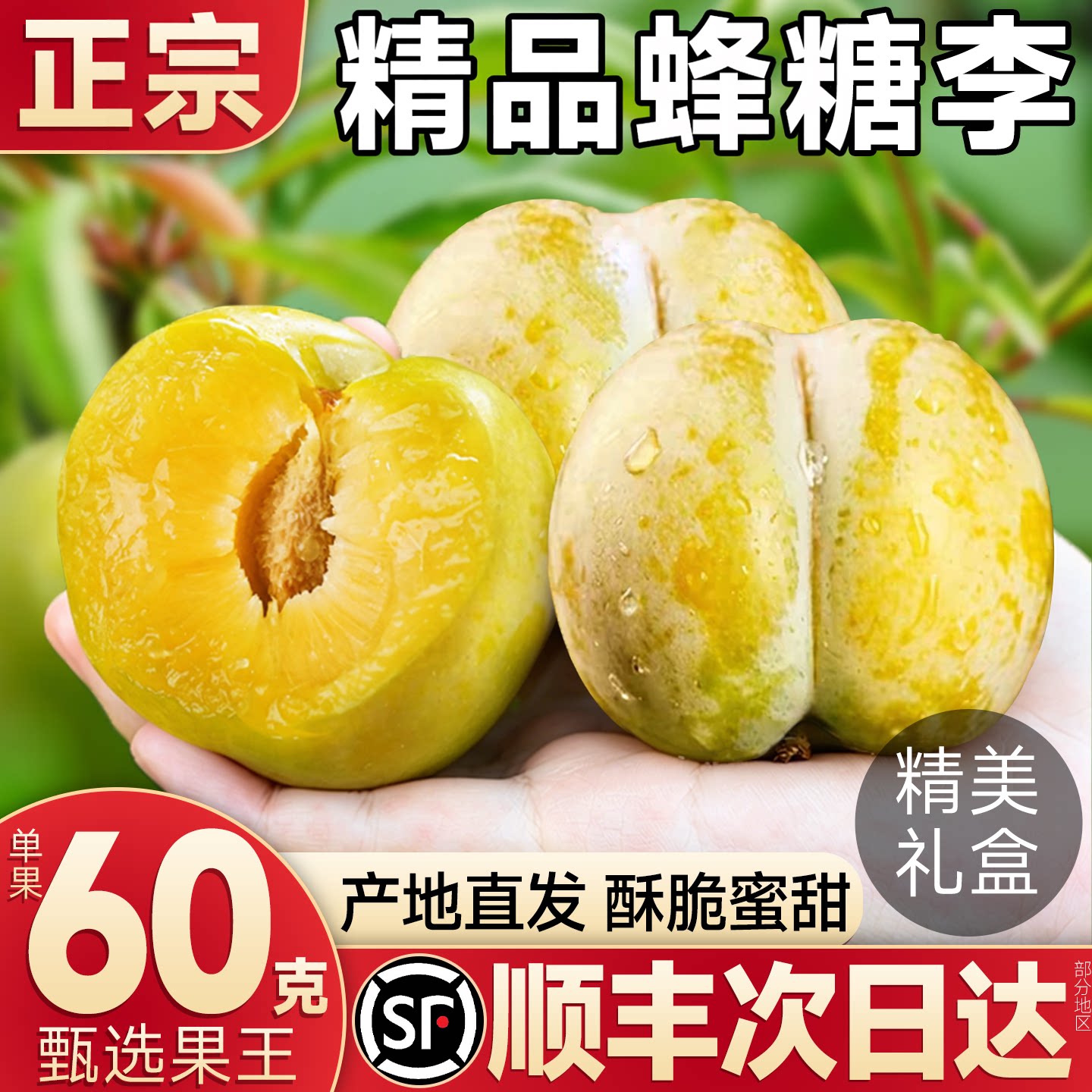 空运礼盒装正宗贵州蜂糖李