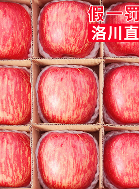 正宗陕西洛川苹果水果新鲜10斤当季整箱红富士脆甜一级冰糖心包邮