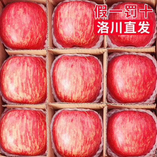 产地直发正宗洛川苹果25年新果