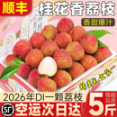 非冷冻 包邮 顺丰空运早熟海南桂花香荔枝5斤现摘当季 老树新鲜水果