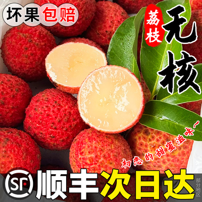 无核荔枝荔中优品老树大果