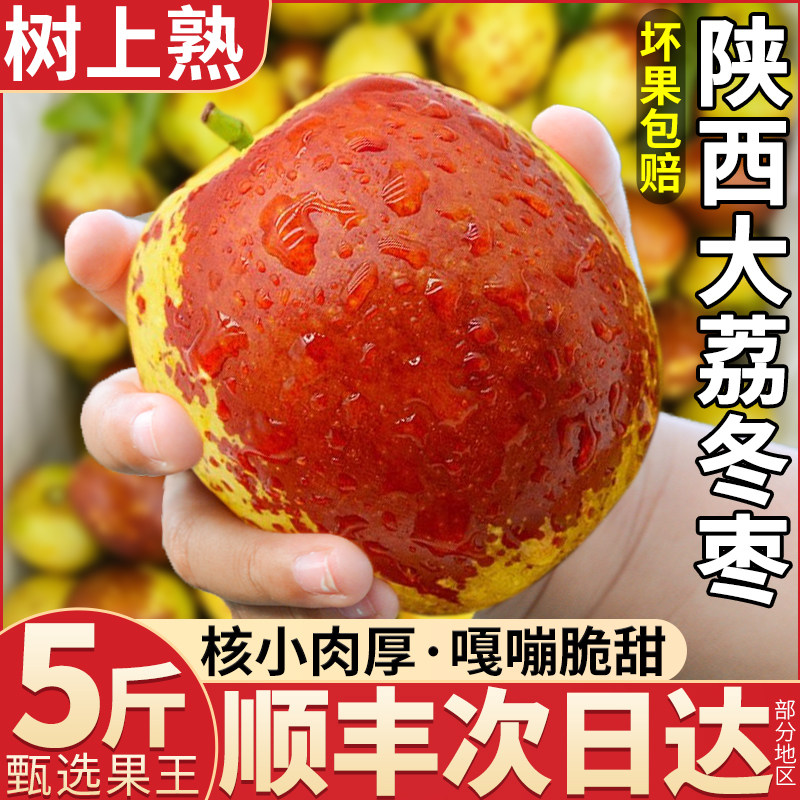 陕西大荔冬枣顺丰礼盒装图片