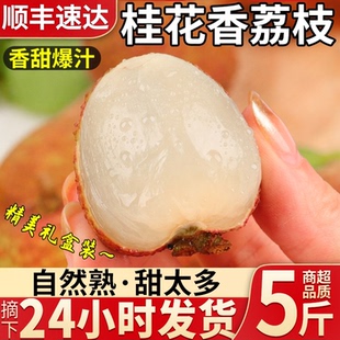 顺丰礼盒海南桂花香荔枝5斤枝新鲜水果现摘发当季特大果整箱包邮