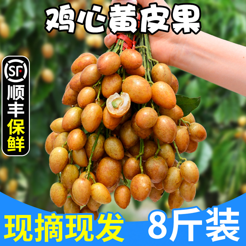 顺丰礼盒8斤鸡心黄皮果新鲜现摘黄弹子当季水果冰糖孕妇整箱包邮