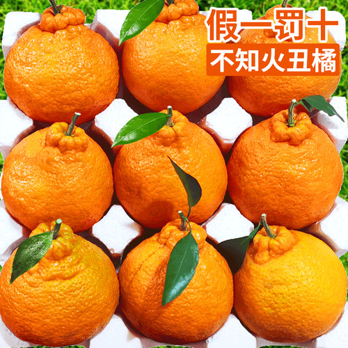 四川不知火丑橘产地直发